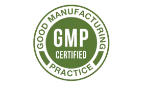 Gmp-Java-Brain